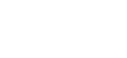 Chemical Guys